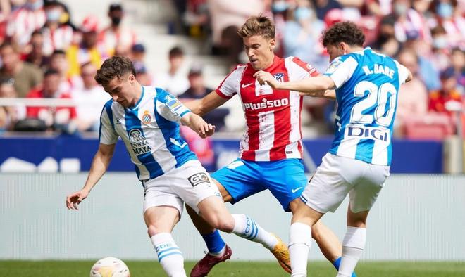 勒沃库森通 勒沃库森通