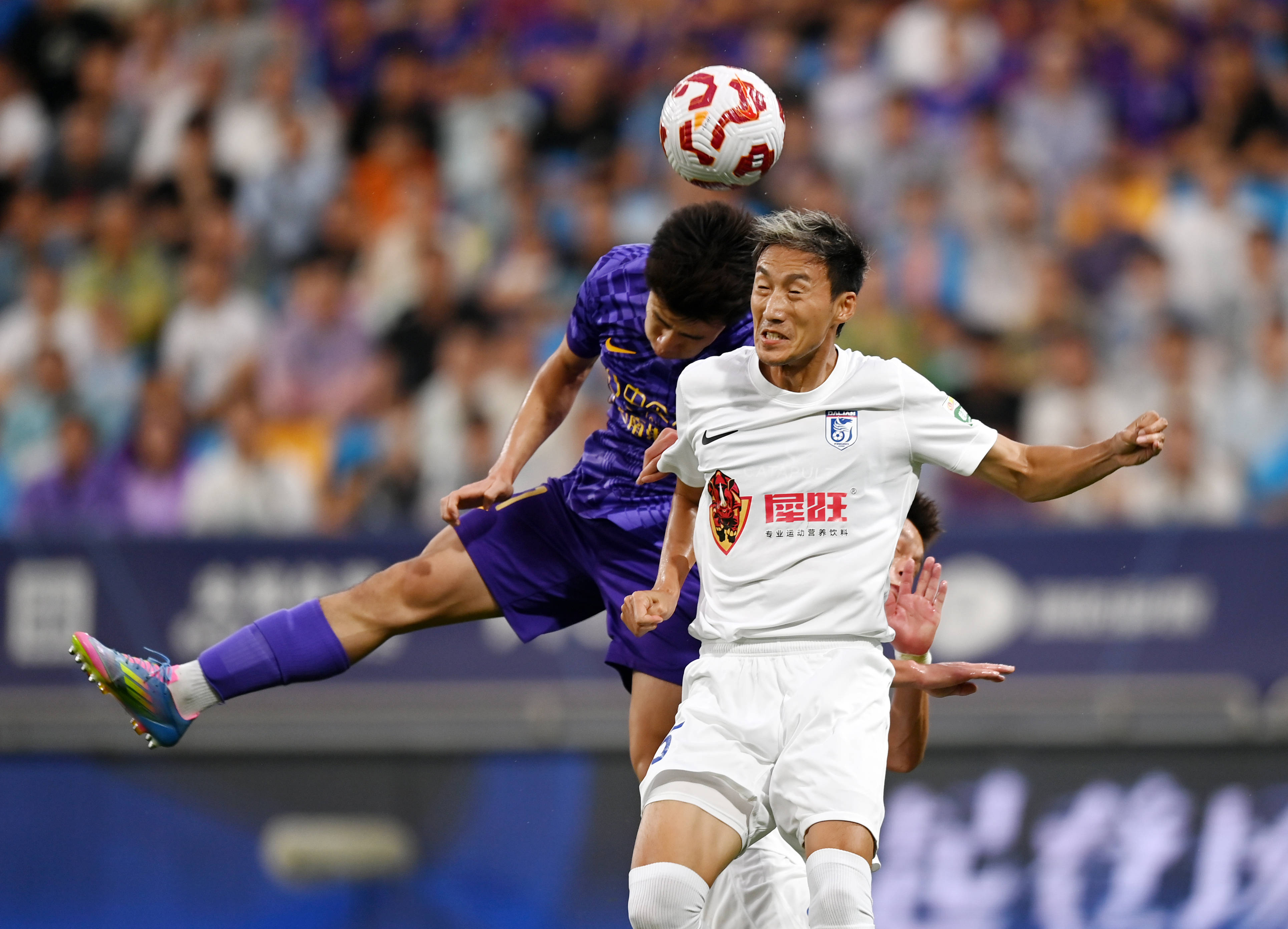 托洛伊职业 托洛伊职业